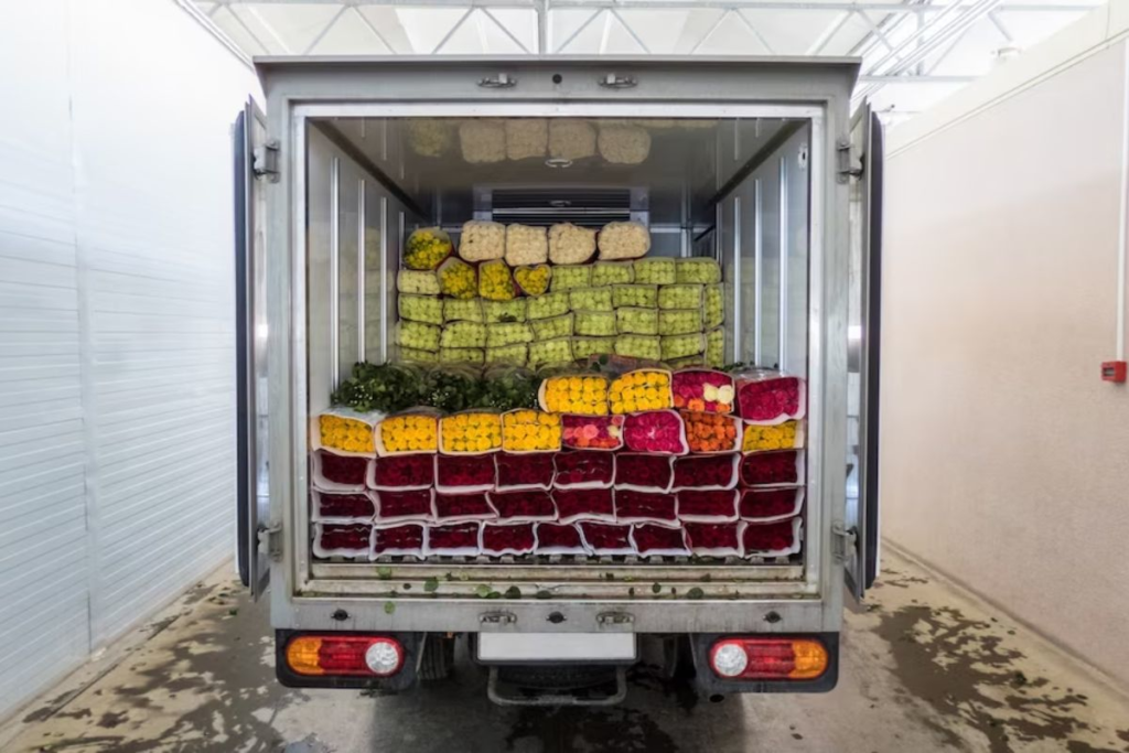 Cold Storage Logistics